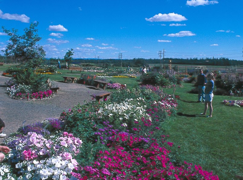 Georgeson Botanical Garden, United States